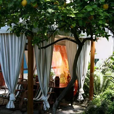 ベッド・アンド・ブレックファスト Dimora Coloniale Forio di Ischia